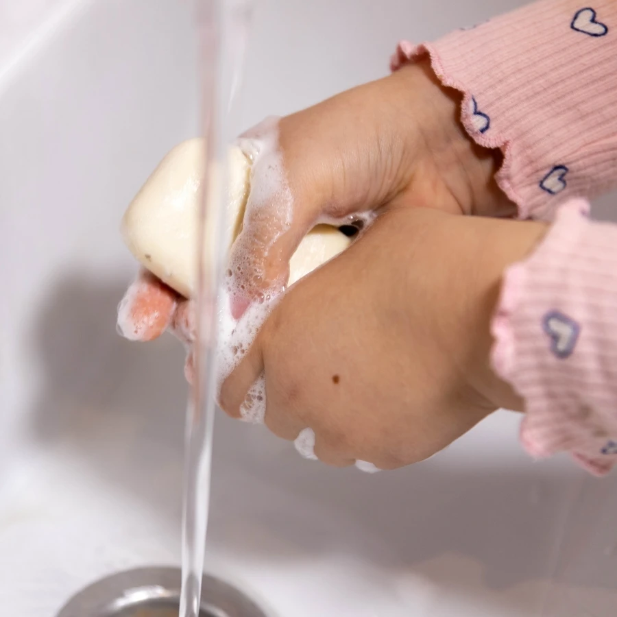 shutterstock_2696162225 _1_ shutterstock_2696162225 _1_