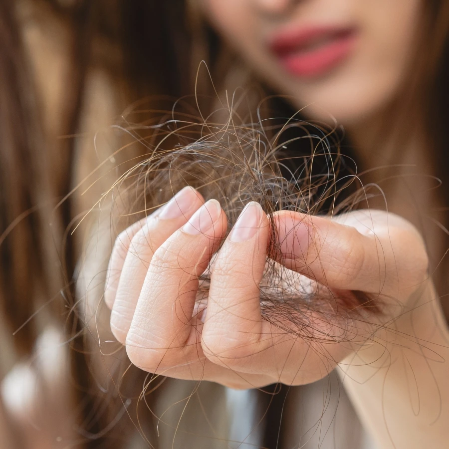 shutterstock_2659576419