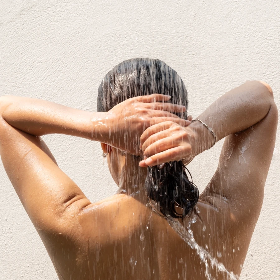 shutterstock_2668238775