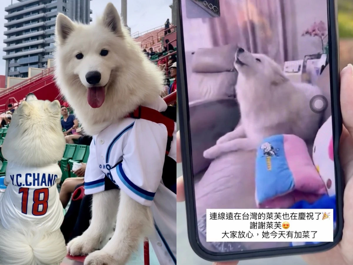 萊芙5