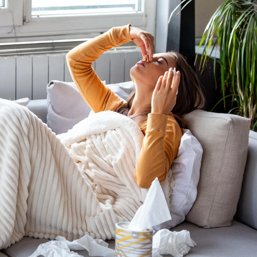 shutterstock_2735001139