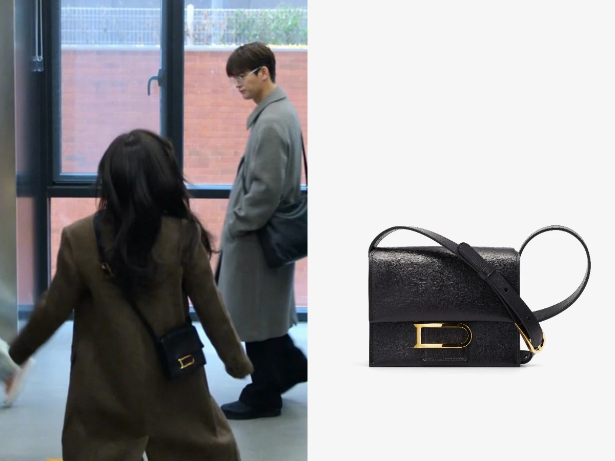 Delvaux Léonce Small 黑色