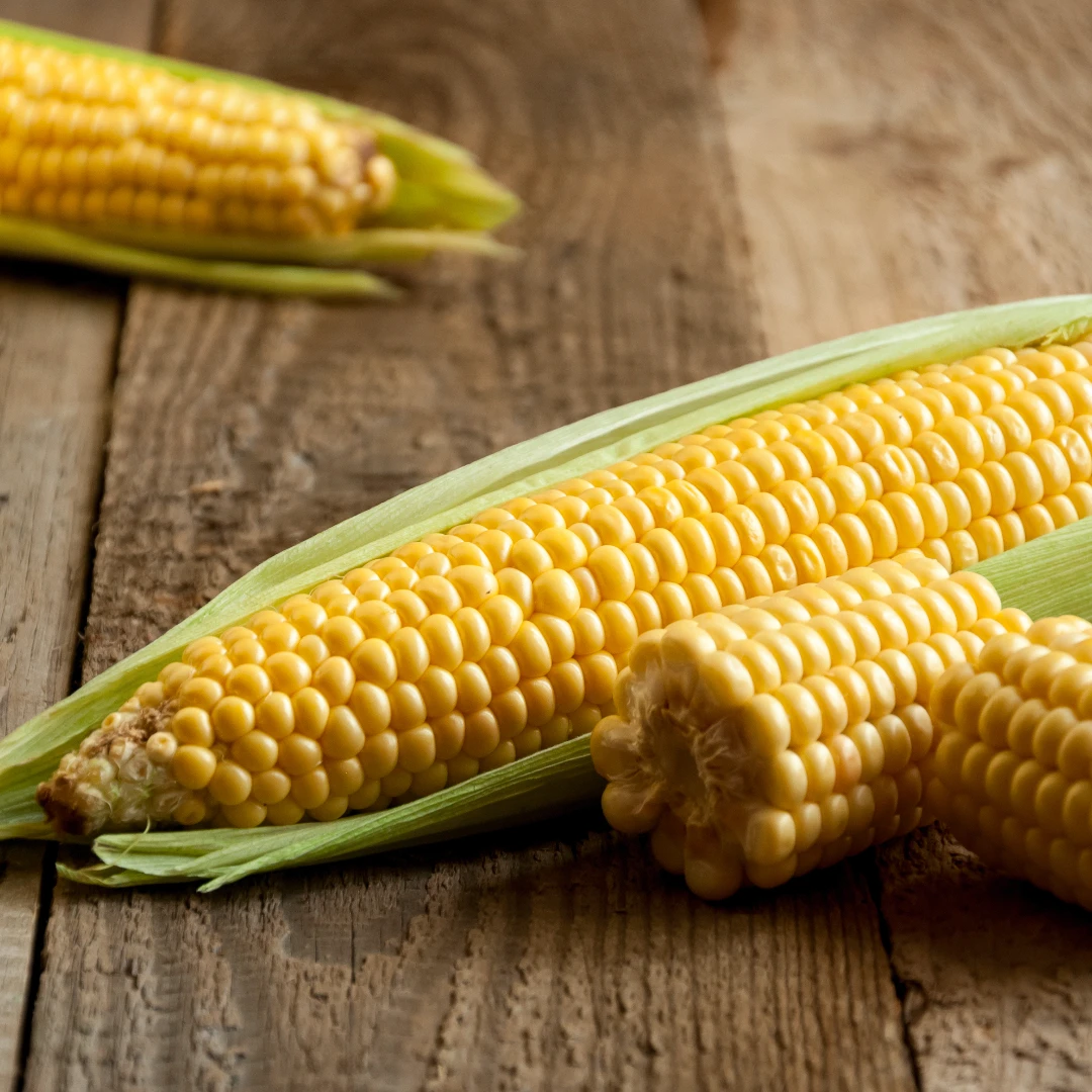 玉米怎麼保存最甜？日本專家教你3步驟鎖甜度＋冷凍玉米技巧一次看