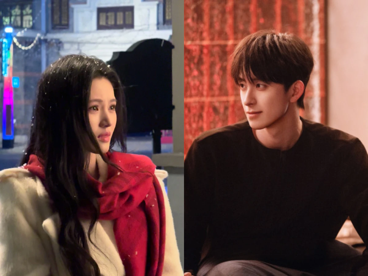 劇情亮點5.《愛你》導演最新力作