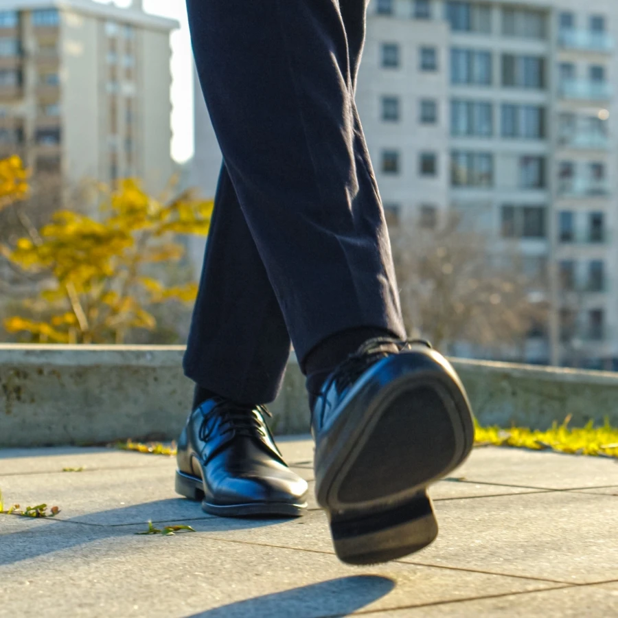 shutterstock_2588826641