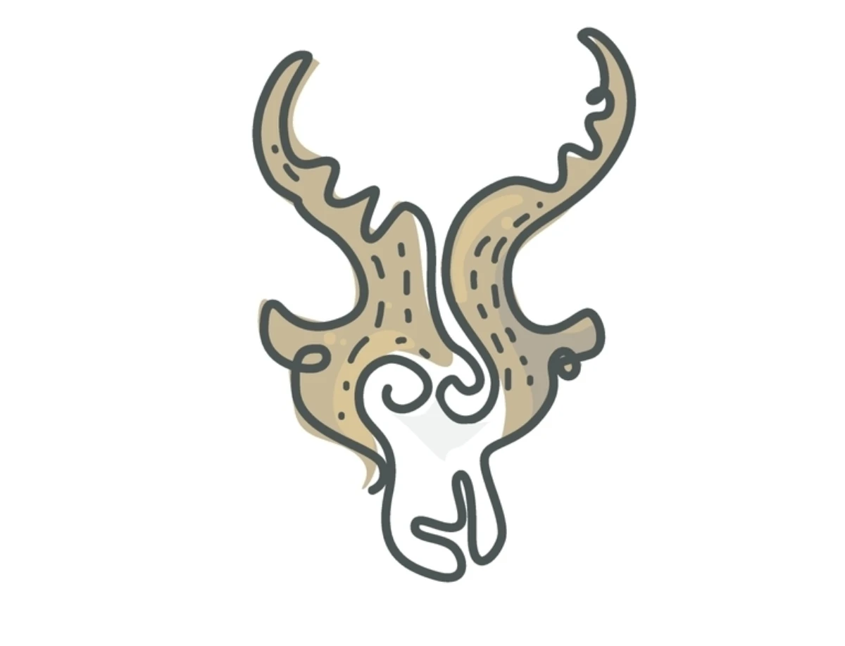摩羯座｜溝通與人氣發光