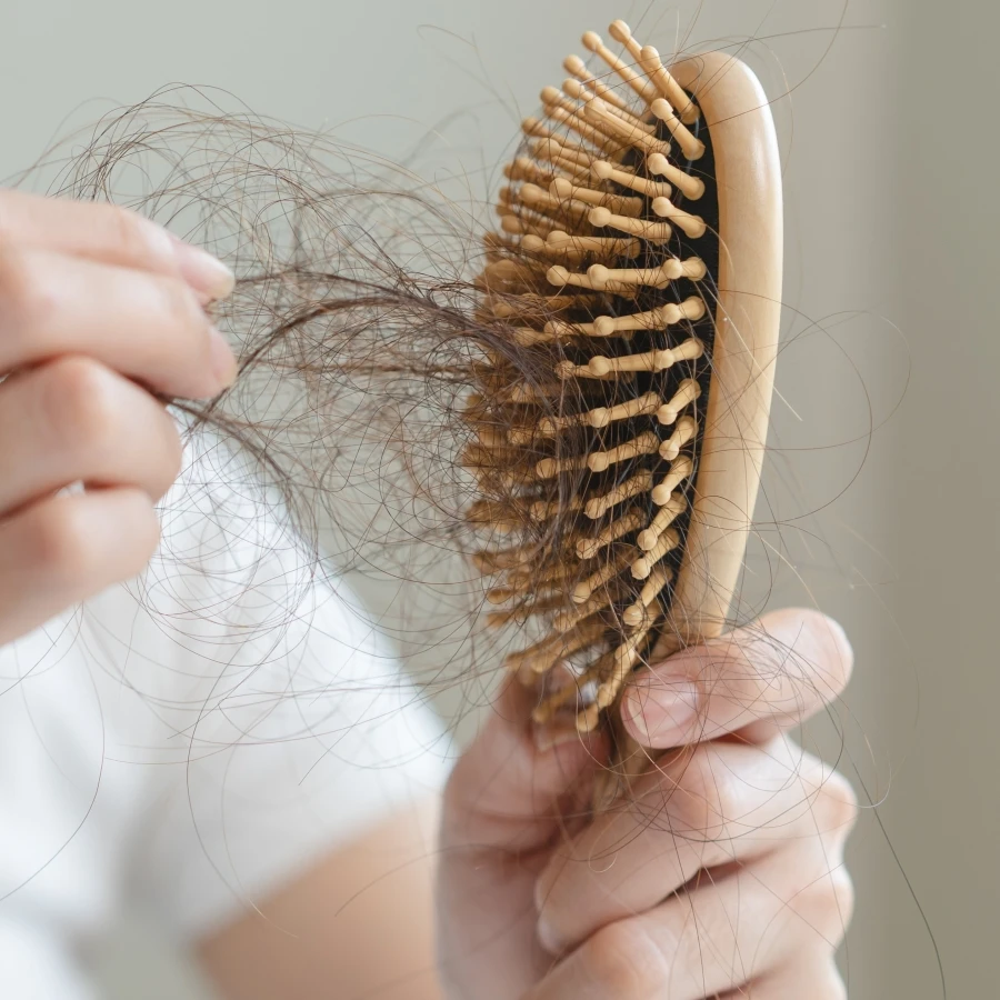shutterstock_2736673341