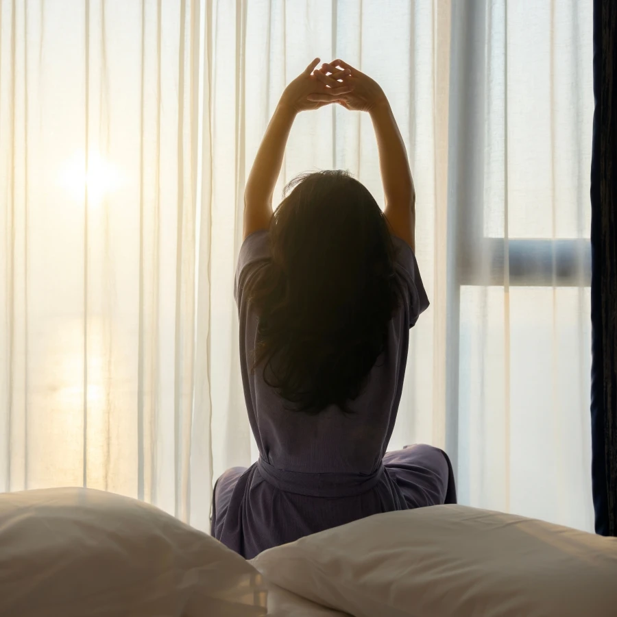 shutterstock_2696307099