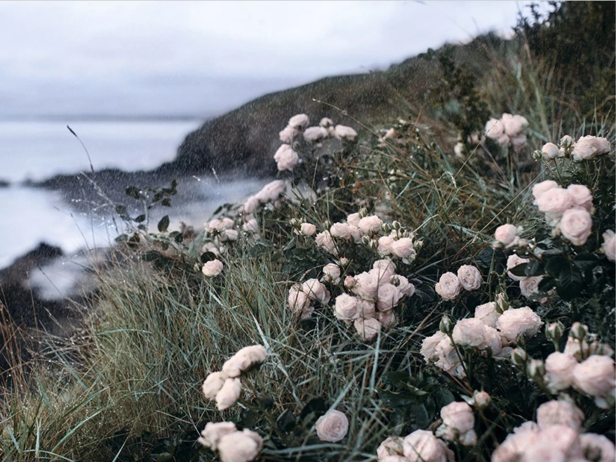 主編說｜2026美妝永續趨勢：你擦的不只是保養品，而是整個生態系？