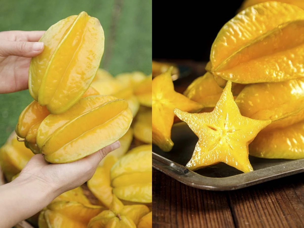 楊桃怎麼挑才甜？稜邊皮色教你看，切開一動作去澀味！醫提醒：腎臟病患別吃